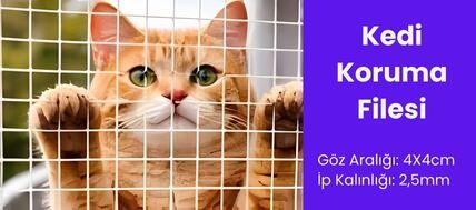 Kedi Filesi